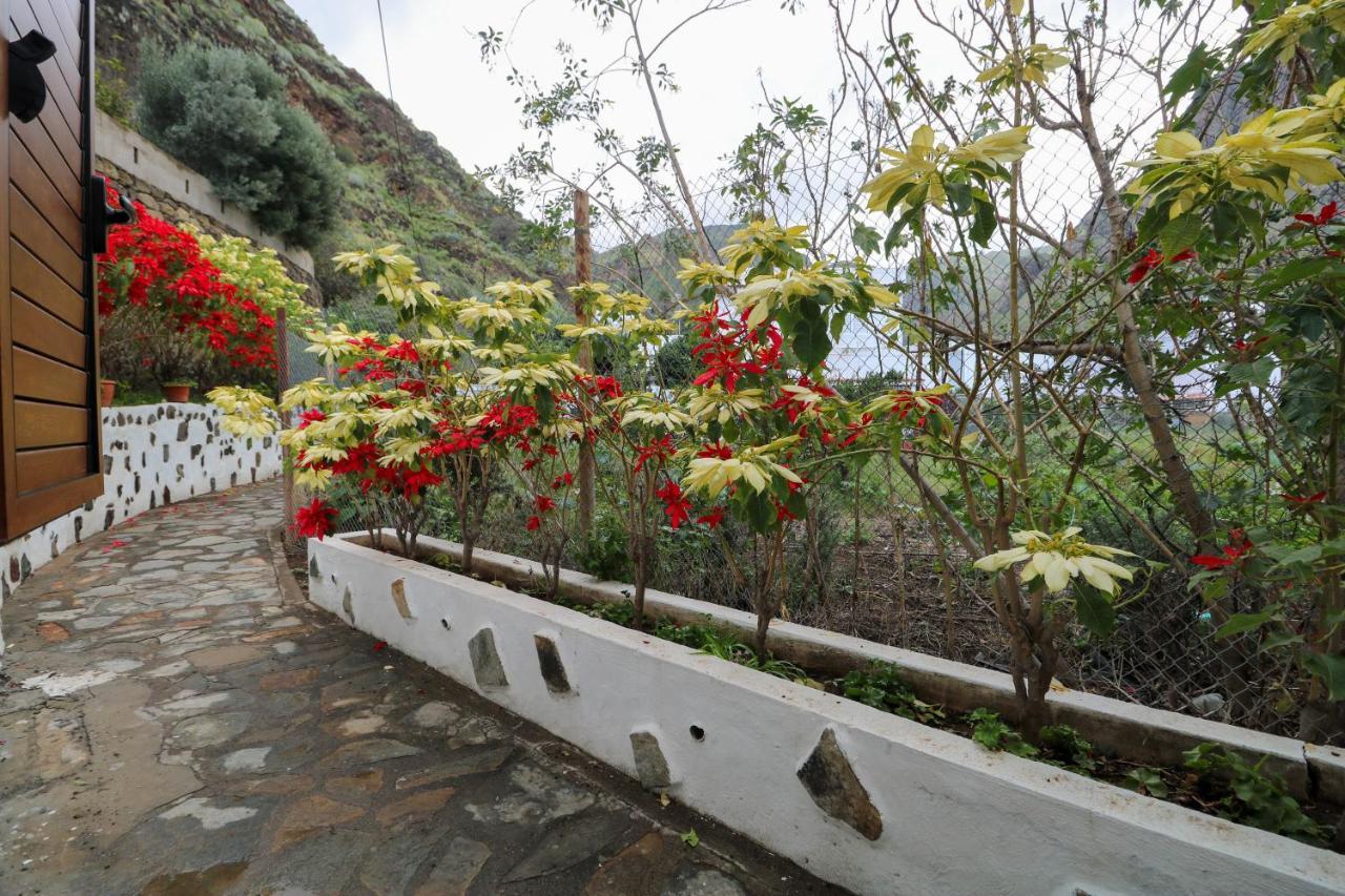 Valley Views Apartment In Agaete أَغايتي المظهر الخارجي الصورة